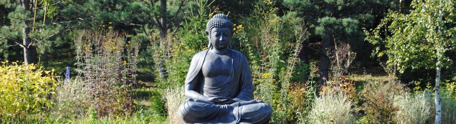 Meditatie en boeddhisme