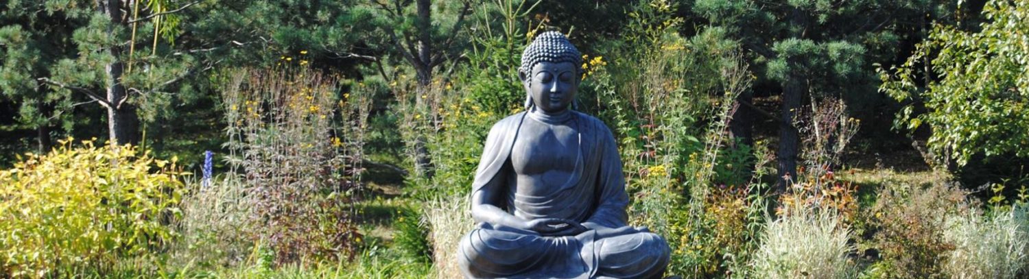 Meditatie en boeddhisme